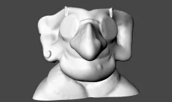 gnome face