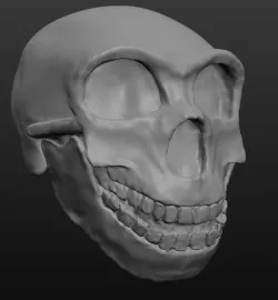 Nandy the Neanderthal