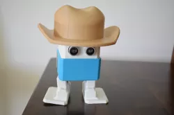 Otto DIY Cowboy hat