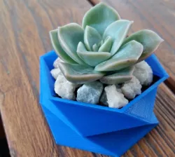 Poly-planter
