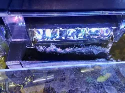Aquaclear 50 diverter