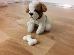 Bone