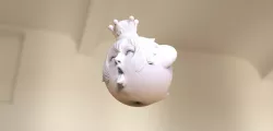 Booette