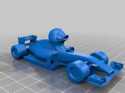Duck in an F1 Model