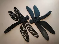 Floppy Dragonfly