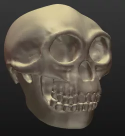 Flora the Hobbit (Homo floresiensis)
