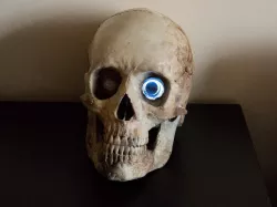 Human Skull for Adafruit HalloWing + PIR