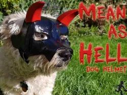 "Mean As Hell" Dog Helmet