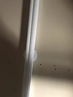Round Ceiling Box Cover
