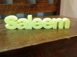 Saleem