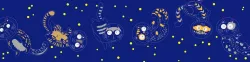 Space Cat Egg