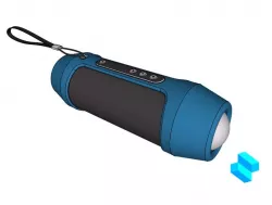 Speaker