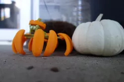Spectacular Spider Pumpkin