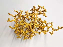 Ubiquitin Protein PDB 1UBQ