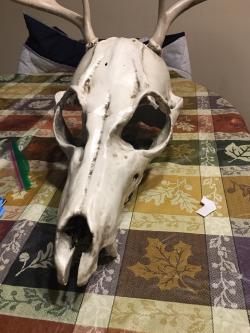 Wendigo Mask