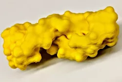 Z-DNA surface model of PDB 4OCB