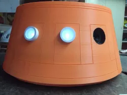 C1-10P Eye Insert for TinyP dome