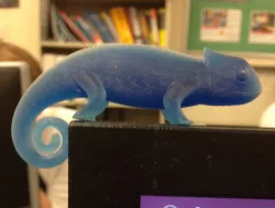 Chameleon