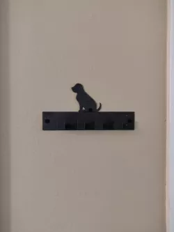 Dog Leash Hook