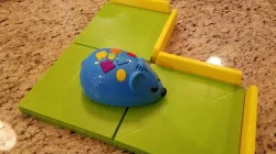 Exterior Walls for Code & Go(tm) Robot Mouse Activity Set