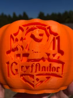 Harry Potter Hogwarts House Pumpkin