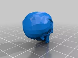 Human Skull