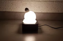 Melted bulb