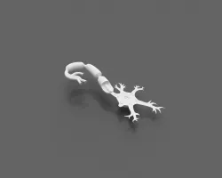 Neuron Model