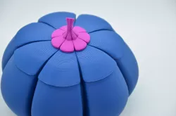 Pumpkin container