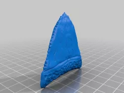 Shark Tooth