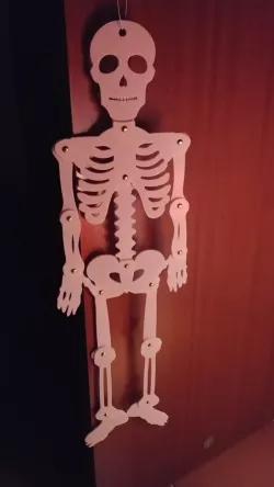 Skeleton 2D