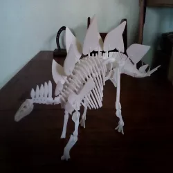 Stegosaurus stenops