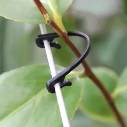 Tomato Clips Trellis, Vegetable Binder (Garden)