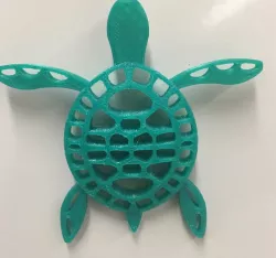 Turtle 
