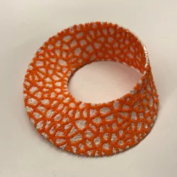 Voronoi Mobius Strip