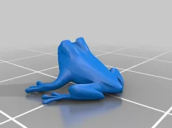 Where is the frog