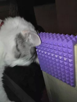 Cat Scratcher
