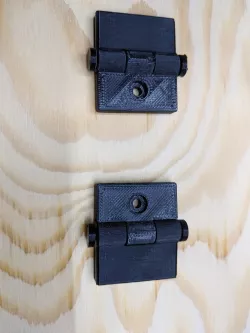 Door Hinge