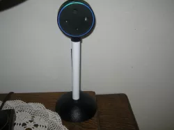 Echo Dot Microphone