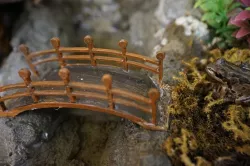 Frog Bridge