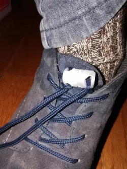 Quick Release Shoelace Gadget 