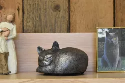 Rainbow Bridge Cat Urn Container