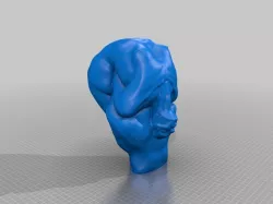 Sculpt/Anatomy study