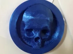 Skull Coin Fridge Magnet