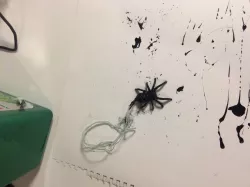 Spider pendant