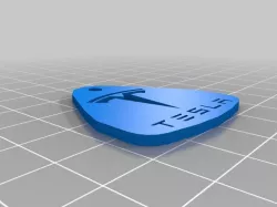 Tesla Keychain
