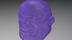 Thanos WireFrame Head