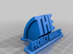 The Project Manager