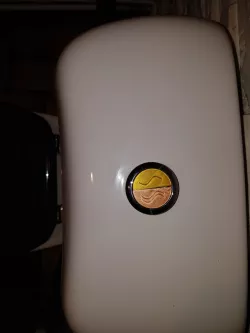 Toilet flush buttons - boutons chasse d'eau