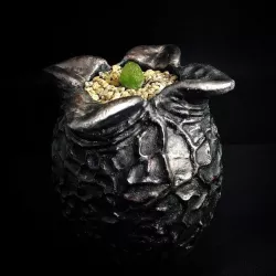 alian egg pot